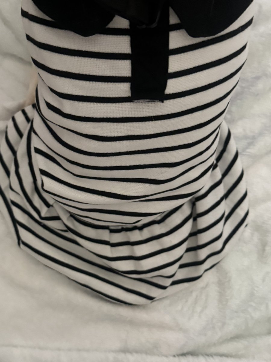 Mini_Tink_'s tweet image. It’s #chewneltuesday and the classy casual look is just the best 🐾 

#minitink #plushiesoftwitter #dogsoftwitter #tatertotsquad