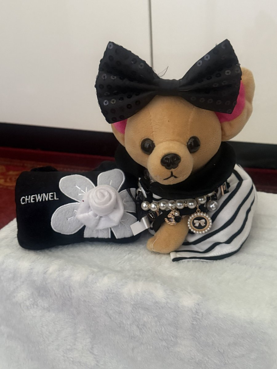 Mini_Tink_'s tweet image. It’s #chewneltuesday and the classy casual look is just the best 🐾 

#minitink #plushiesoftwitter #dogsoftwitter #tatertotsquad