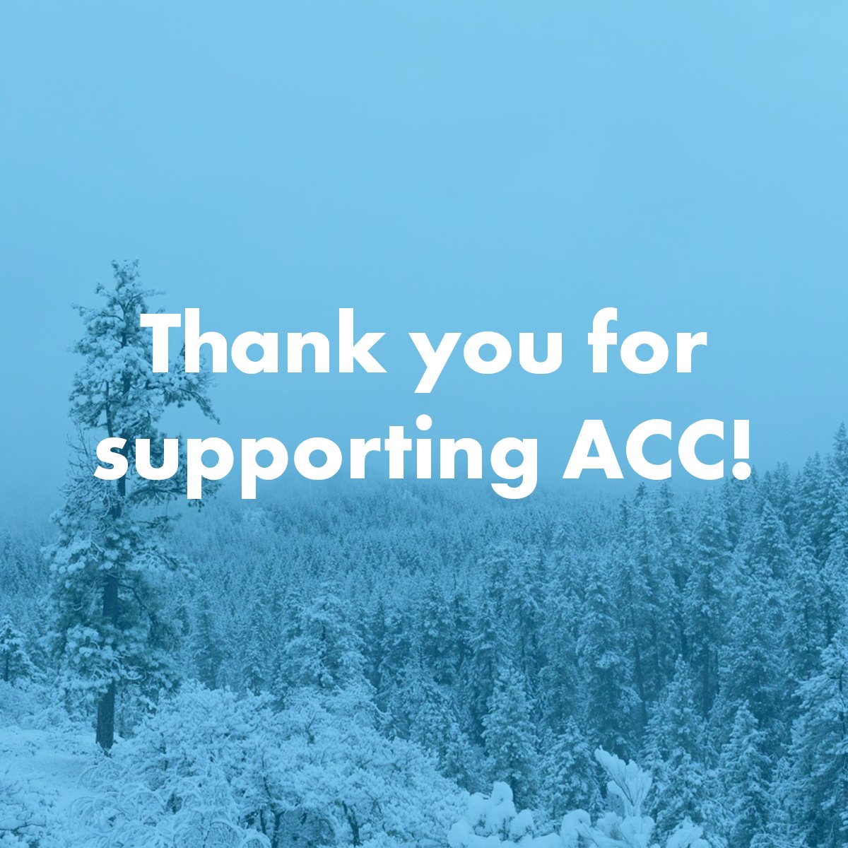 Read Our Newsletter!
Here’s what’s happening at ACC:
💚 Thank You! In December, contributions totaled $26,266! 
🌟 Honoring MLK As we reflect on MLK's vision of peace and justice, we’re reminded of the work ahead. 
We pray for those affected by the LA fires and support efforts.