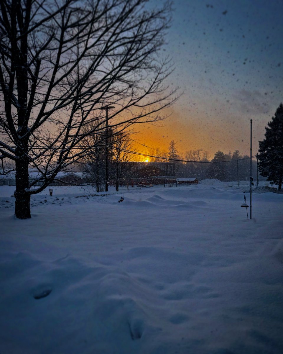 Brandon Wood tweet media