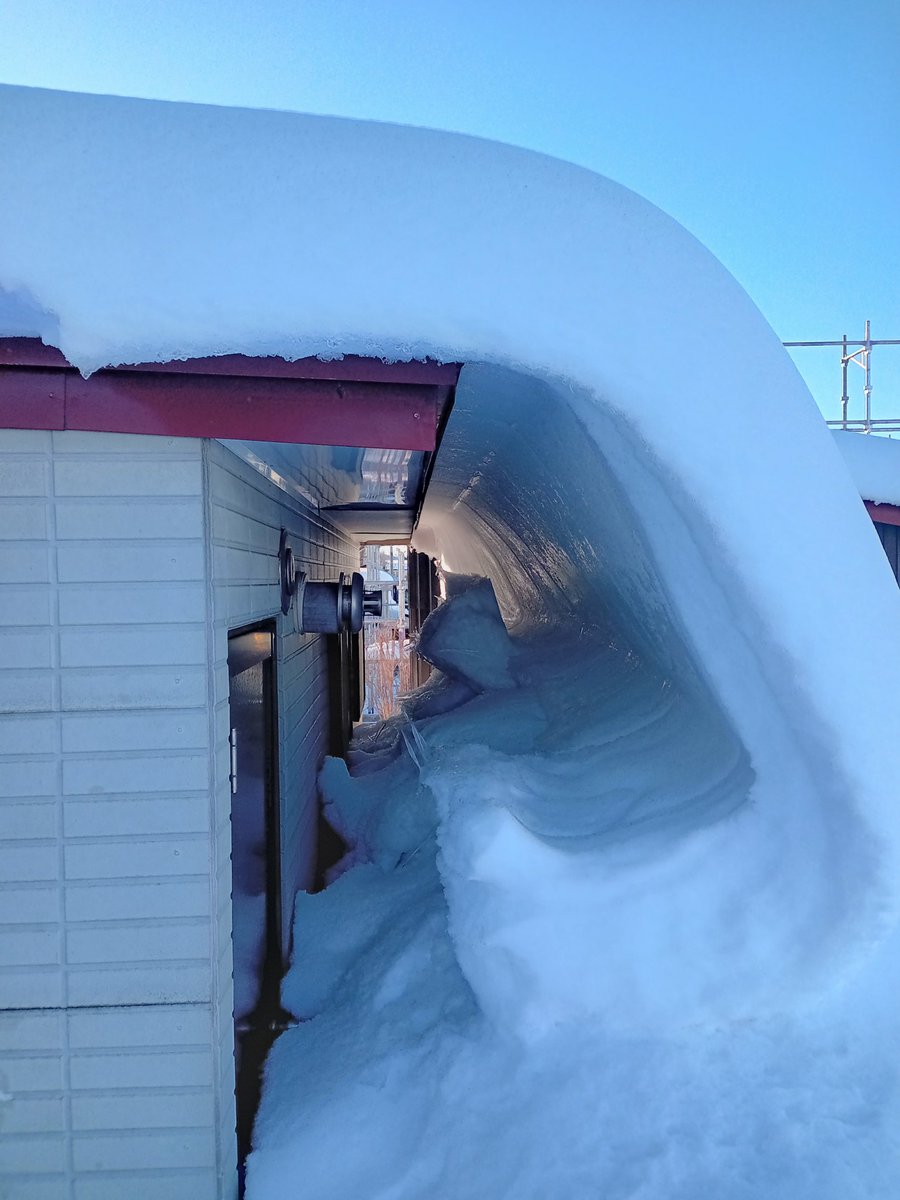 nonvey's tweet photo. 大雪警報が発表されている中で上京を強行し、2泊3日を満喫して帰ってきたら、待ち受けていたのはコイツだった。#弘前 #豪雪 https://t.co/rwYBL3sfNK