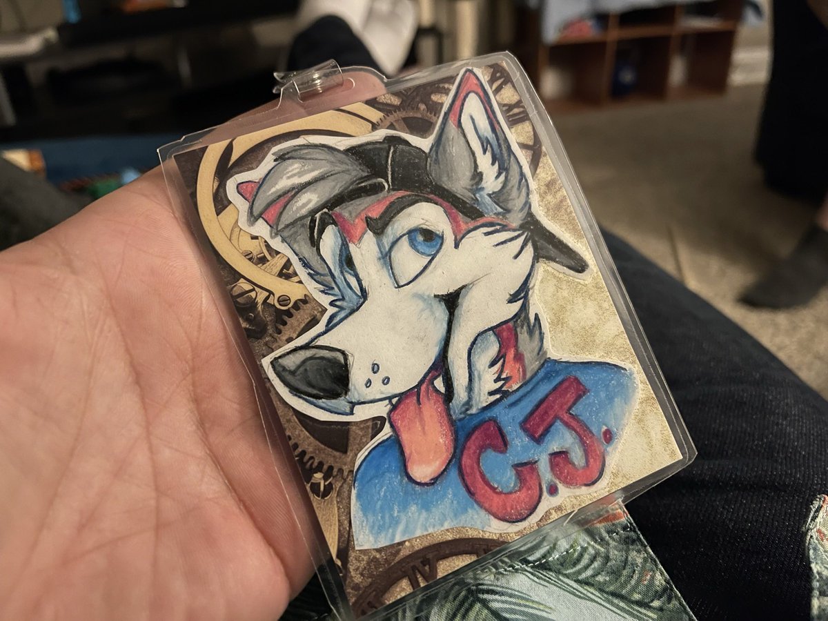 CJ_theHusky's tweet photo. If anyone at FC finds either of my badges, please contact me asap! Misplaced them between outside Westin and inside the con center. :<  Already filed a report at con-ops. Thank youuuu ❤️ https://t.co/oHnF1WiyUr