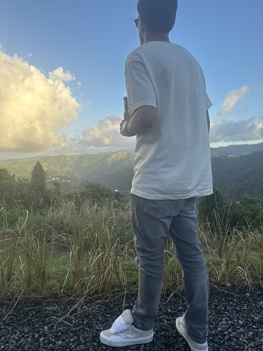eude_joel's tweet photo. 🌳🌳 https://t.co/fYhairMu8F