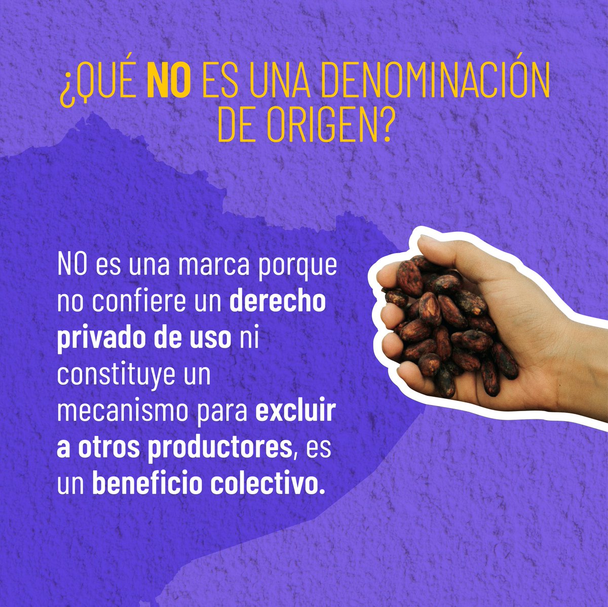 SENADI_Ecuador's tweet photo. La #DenominaciónDeOrigen 🥇 otorgan un reconocimiento a un producto nacional para proteger su calidad, autenticidad y características únicas.
¡Conoce más de las Denominaciones de Origen, aquí!
#ElNuevoEcuador #SignosDistintivos https://t.co/rm9krQi7Sa