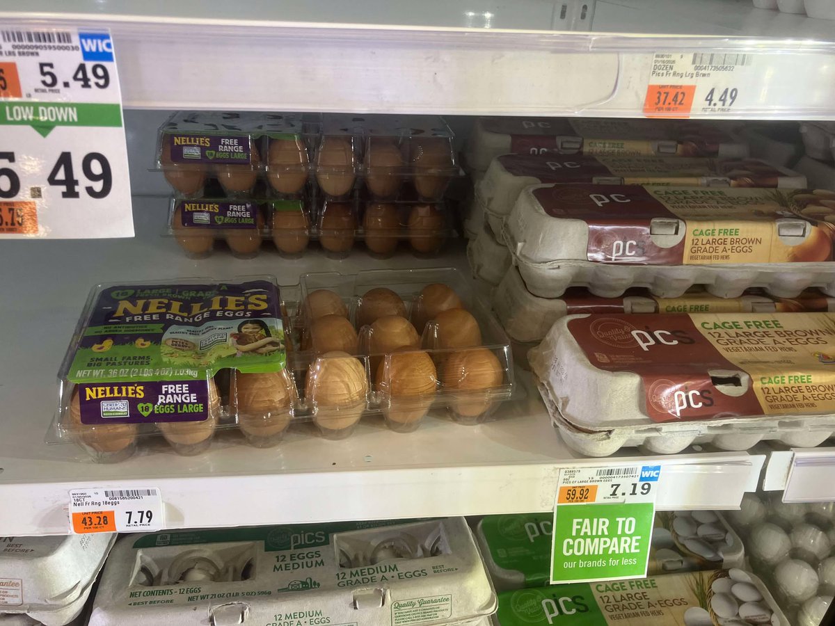 Pay attention you eggheads who voted the orange clown in for your precious egg prices. These are today's egg prices at my local Price Chopper. 1 year from now we'll compare, so exciting! In the meantime, I wish all supporters of that turd a large amount of inconveniences in life.