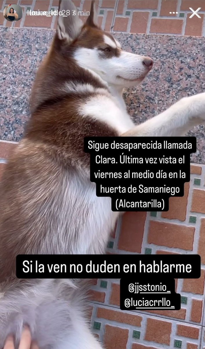 La Pupila Gustativa (@la_pupila_gustativa) • Instagram photos and videos, image size:707x1200