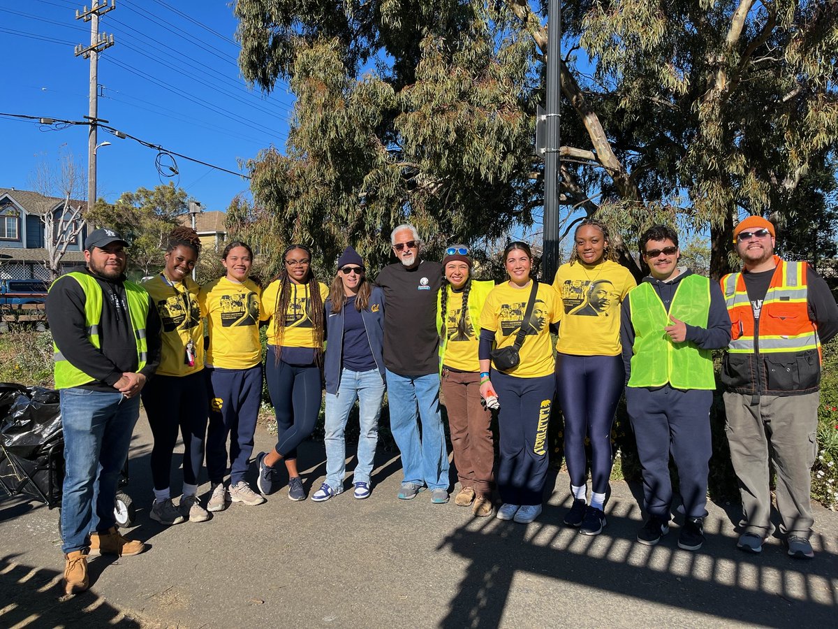 Cal Softball tweet media