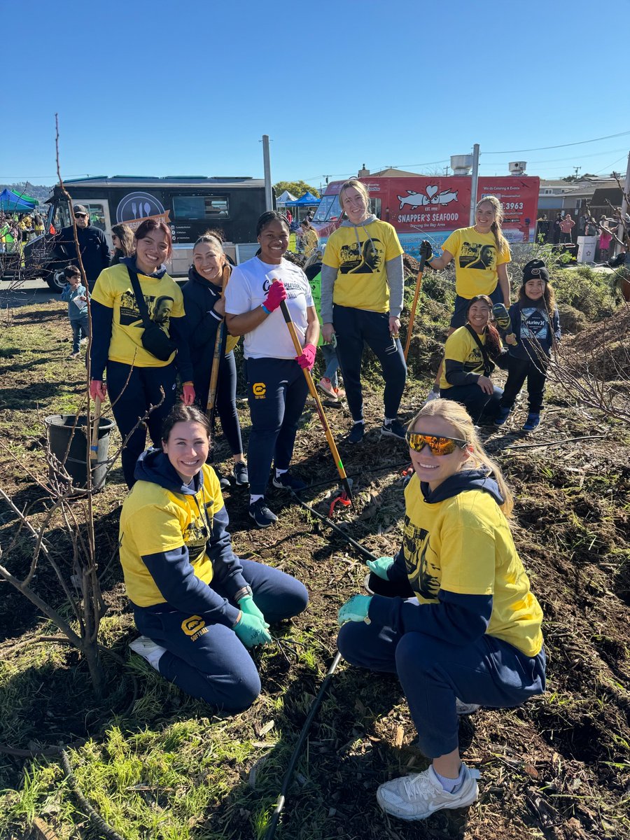 Cal Softball tweet media