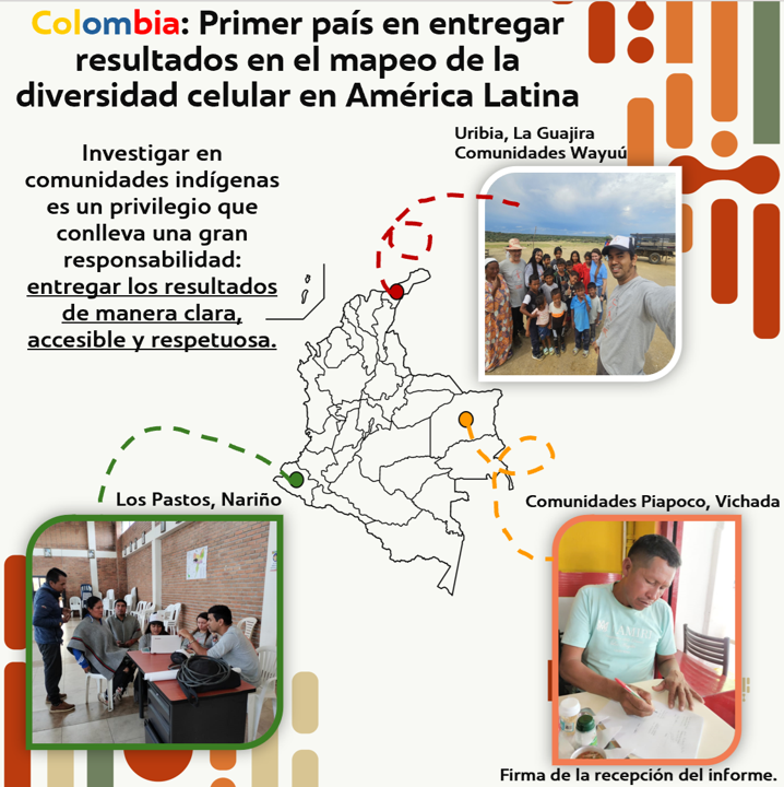 LatinCells tweet media