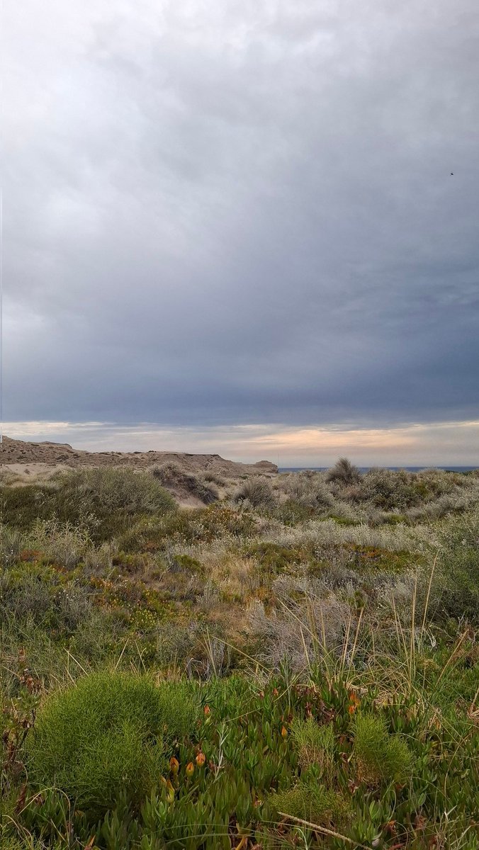 todo el mundo: ay la patagonia es un sueño, todos bosques hermosos
the real patagonia: