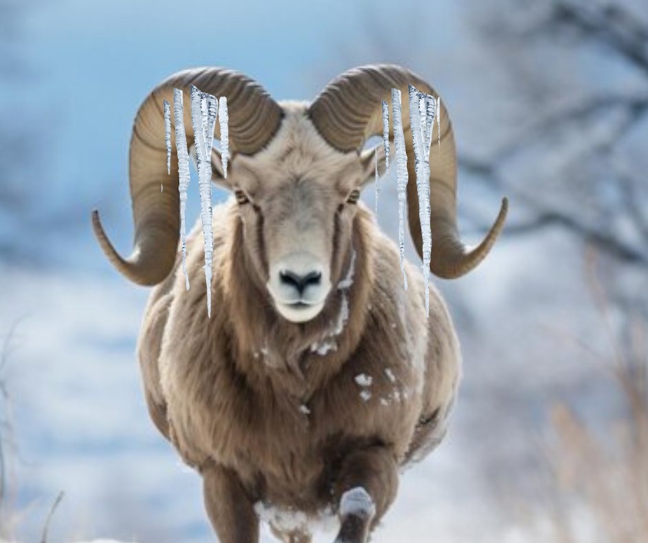 Due to the forecasted weather conditions, Southeast Polk will have a 2-hour delay tomorrow morning, Tuesday, Jan. 21, 2025. There will be no morning preschool.