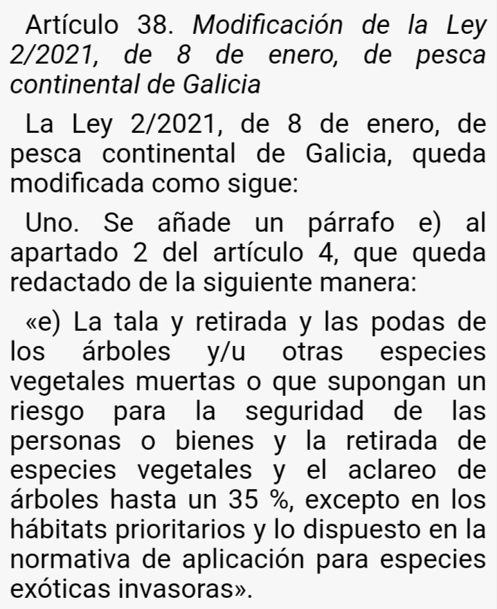 As inundacións prodúcense en ambientes antropizados, e nunca motivadas pola disposicións do bosque de ribeira; máis ben pola ausencia desta. 
O descoñecemento dos beneficios destas franxas fluviais, leva ás nósas administracións a repetir novos erros. 
2 situacións👇.