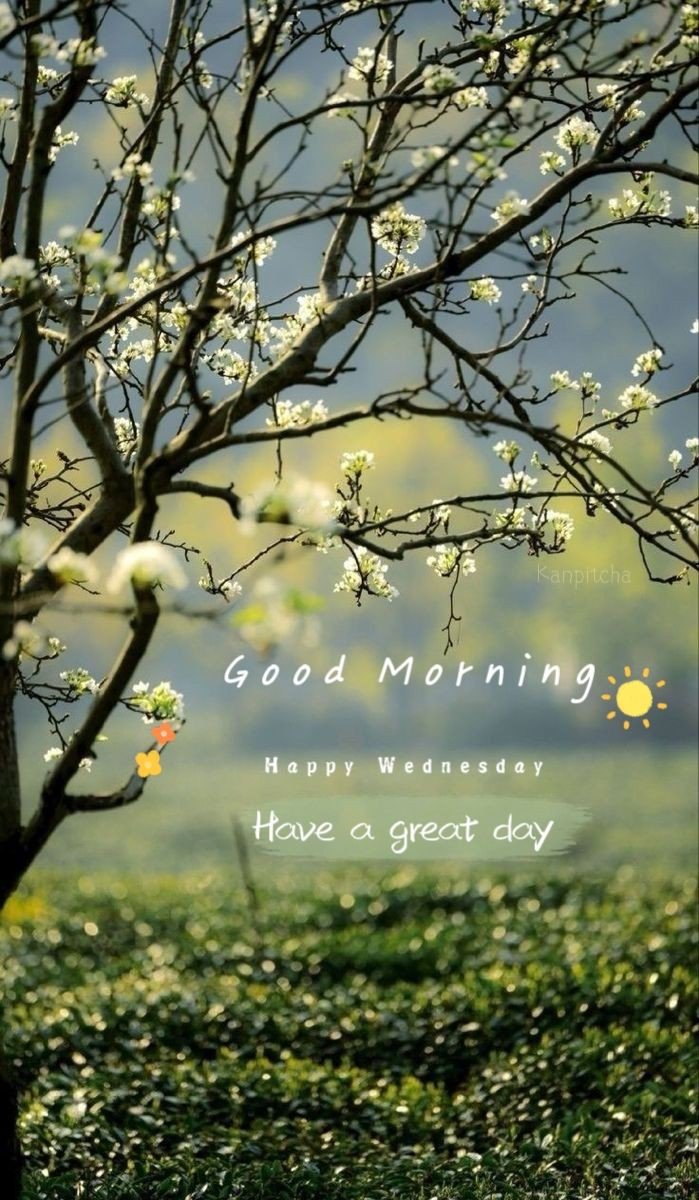 Be a good person in real life 💫🌻
.
Happy morning 🌞