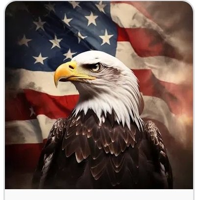 I am a proud American today 🇺🇸🇺🇸God bless the USA!!!