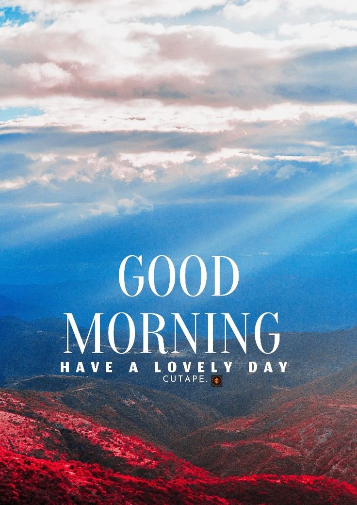 Tomorrow will come, invest your energy and Focus on the now. ⚡️
.
Happy morning 🌞🔆🌿