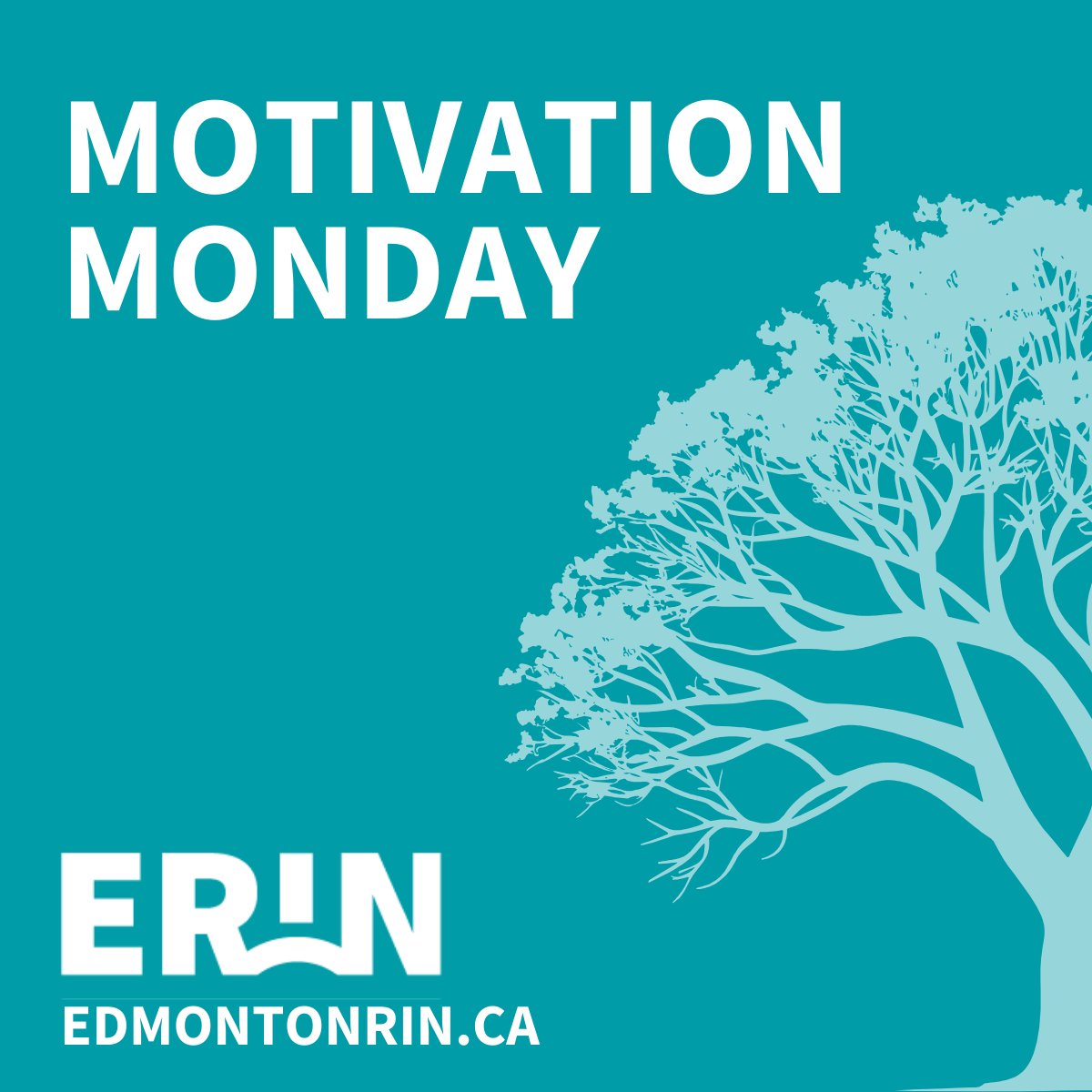 Edmonton RIN tweet media