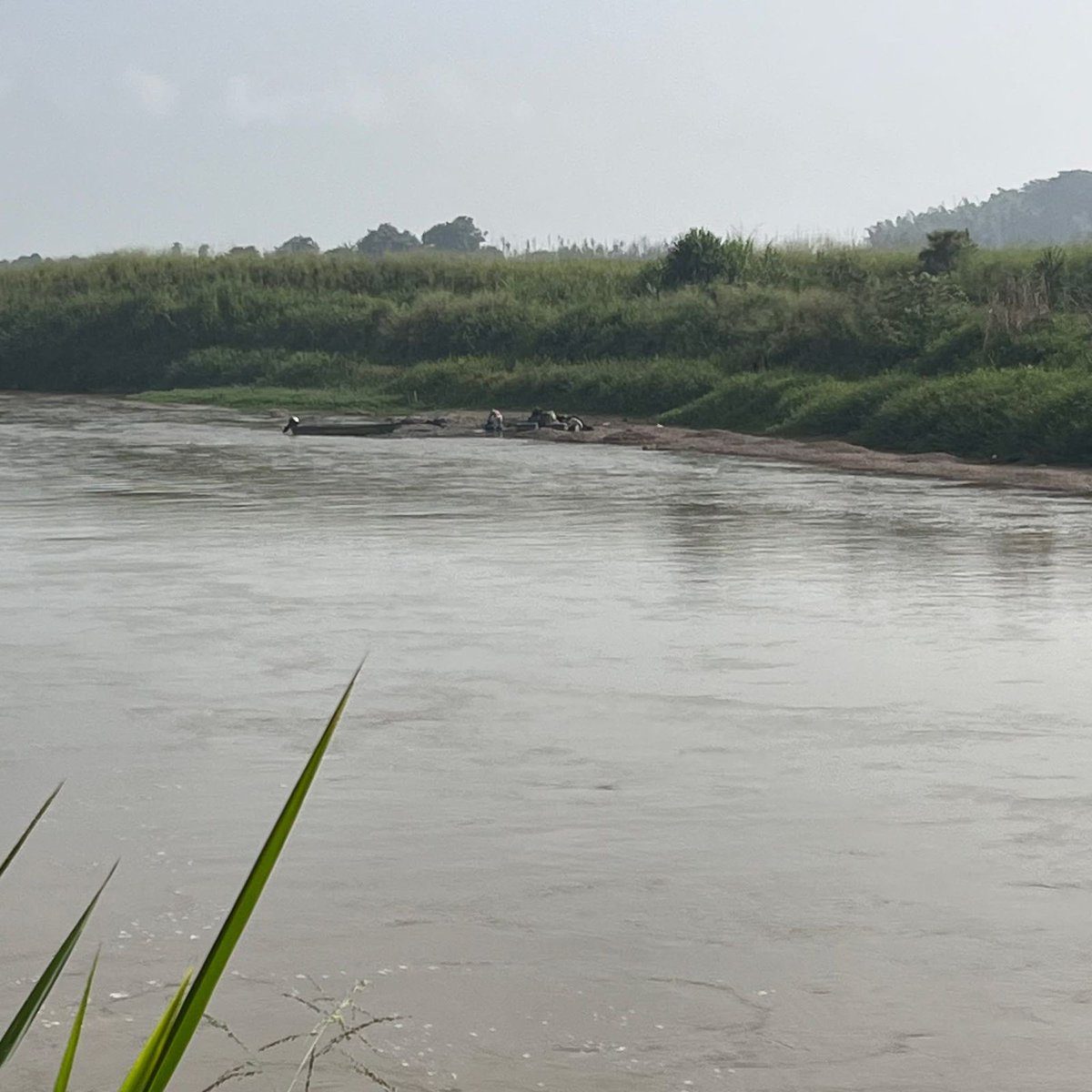 Comité Defensa del Agua y el Territorio Cauca tweet media