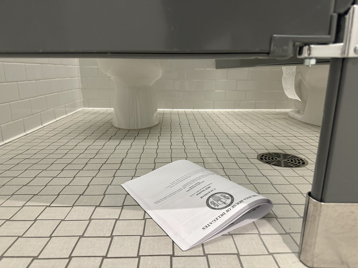 MSchmidtRVA's tweet image. Looks like someone decided this legislative agenda belonged exactly where it’s most effective 💥 #VAleg #floorcalendar