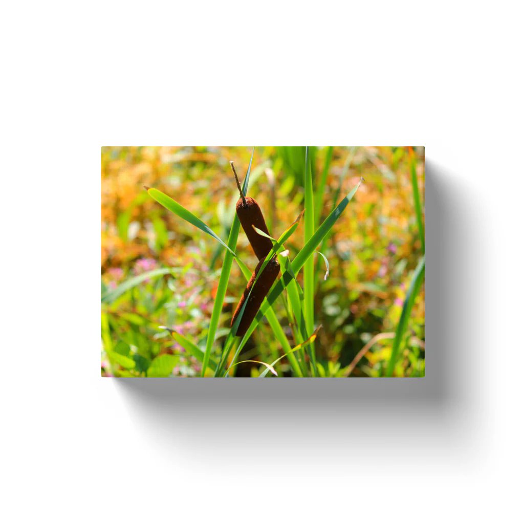 NateHartPrints's tweet image. 🌾✨ Bring nature indoors with the Milkweed Canvas Wrap!

This tranquil landscape adds elegance and calm to any space. 🌿 Ready to hang &amp;amp; perfect for nature lovers!

Shop now: printsbynatehart.com/collections/la…

#LandscapeArt #NatureDecor #CanvasWraps #MilkweedArt #ShopSmall