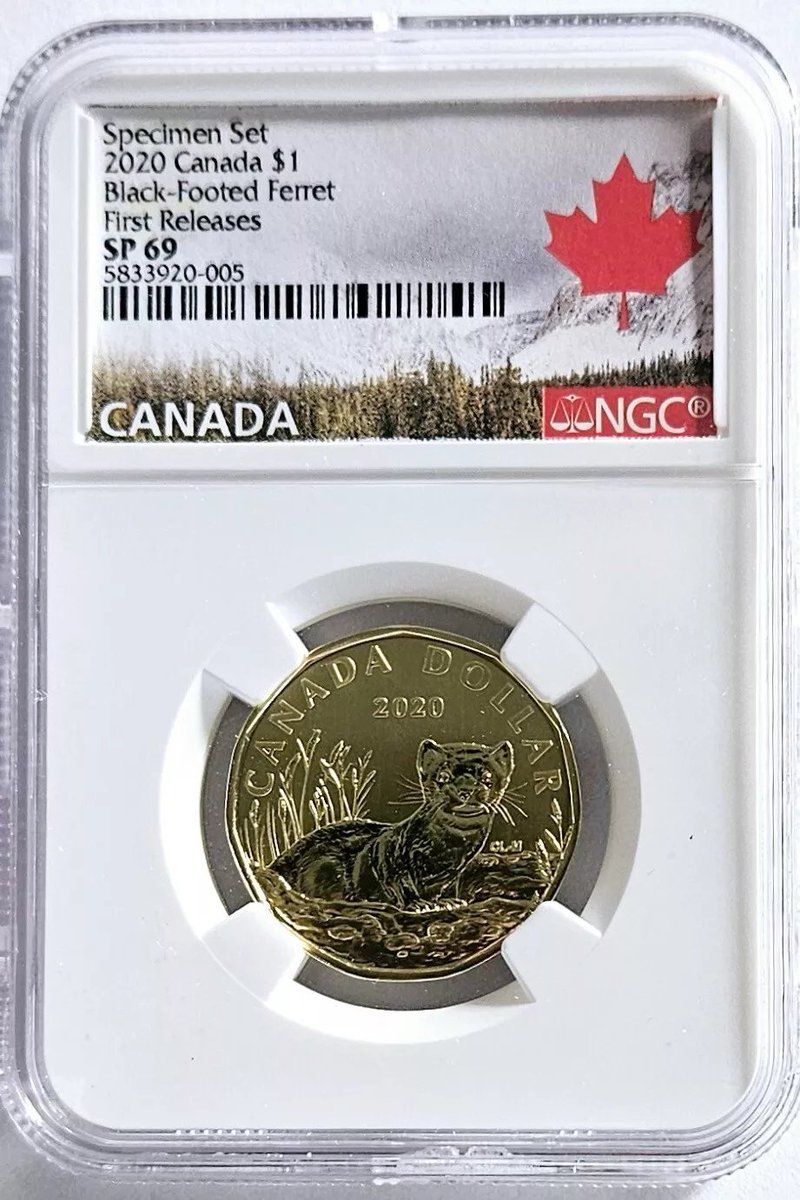 WeaselWares's tweet image. sometimes i like to look at ebay at cool mustelid stuff .i especially love the random vintage stuff.   i dont buy anything recently as much as i really want too