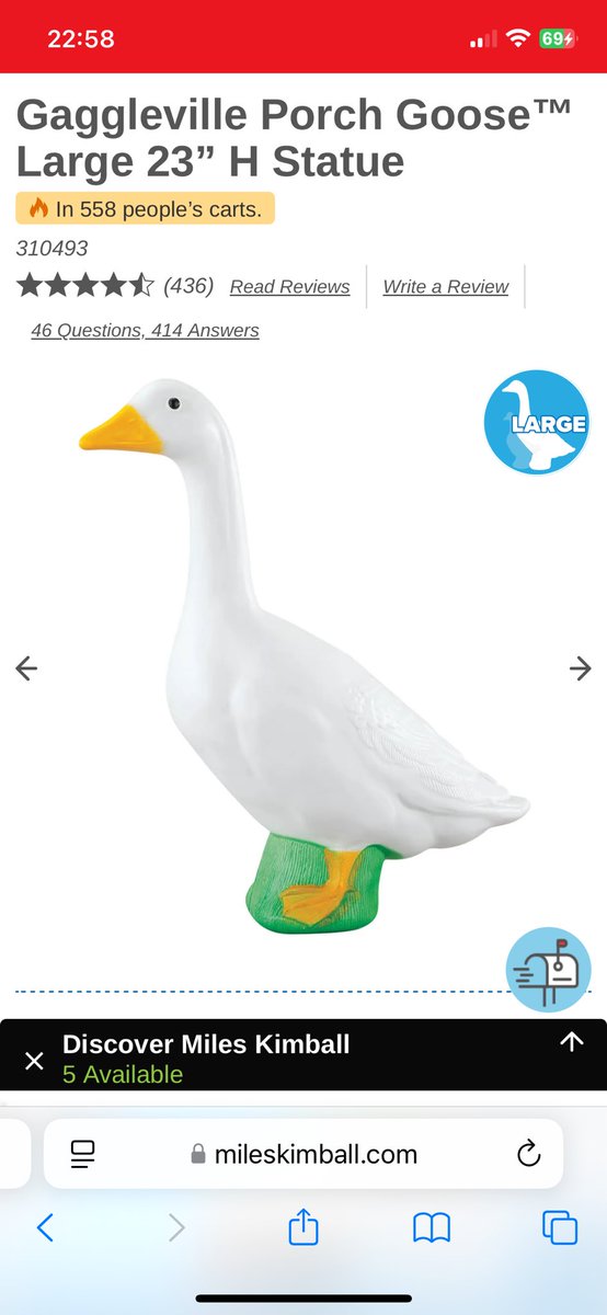 Do I have any American friends here that can help me get a couple silly
Gooses to the uk 🙏🙏🙏🙏🙏