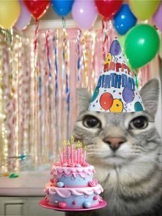 16🎉