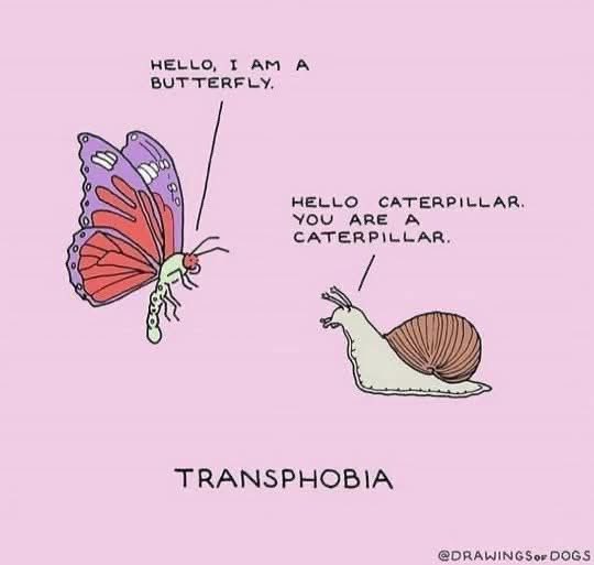 legaltweetz's tweet photo. Transphobes want to make society more confusing. https://t.co/dSgy30gkmA