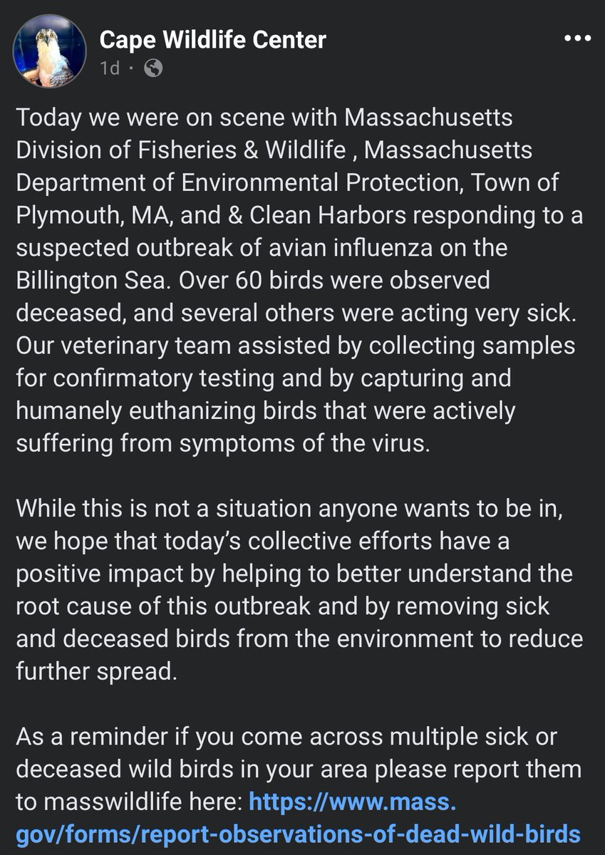 CCSDMaskUp's tweet image. If you want to know if we are are in good hands from a public health perspective  on #HPAI #BirdFlu #H5N1, 60 birds were found dead and infected in Massachusetts.

These are the people who are supposed to know what theyre doing. 

Ive circled every violation in a pic they shared.
