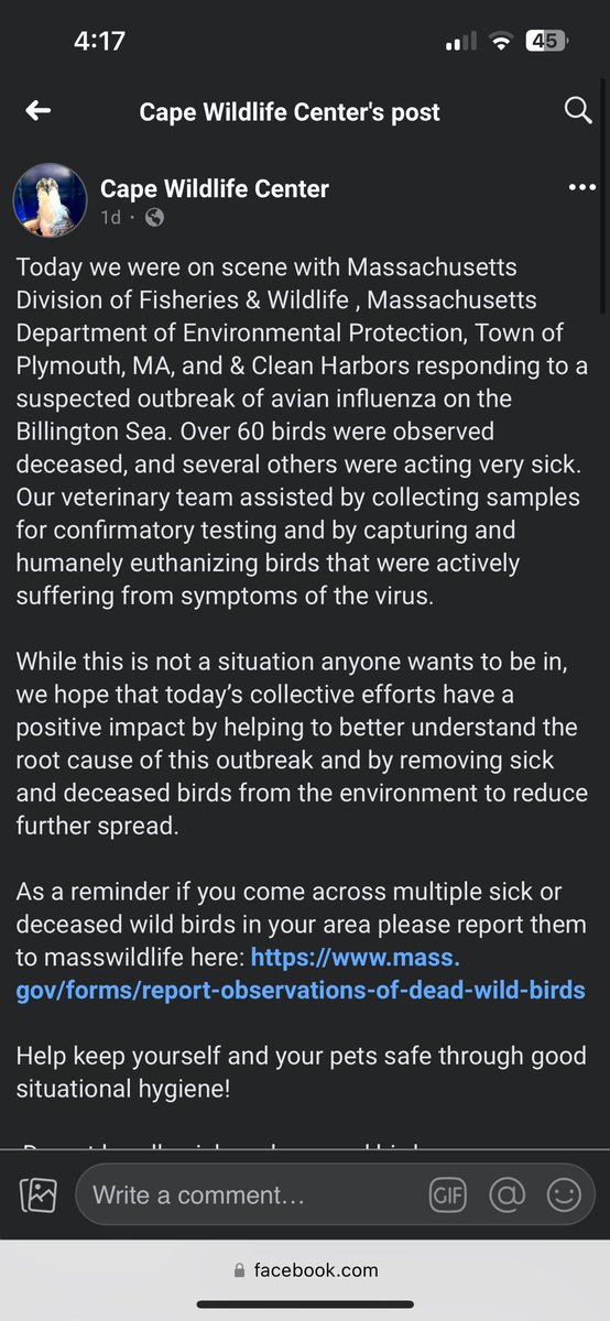 CCSDMaskUp's tweet image. If you want to know if we are are in good hands from a public health perspective  on #HPAI #BirdFlu #H5N1, 60 birds were found dead and infected in Massachusetts.

These are the people who are supposed to know what theyre doing. 

Ive circled every violation in a pic they shared.