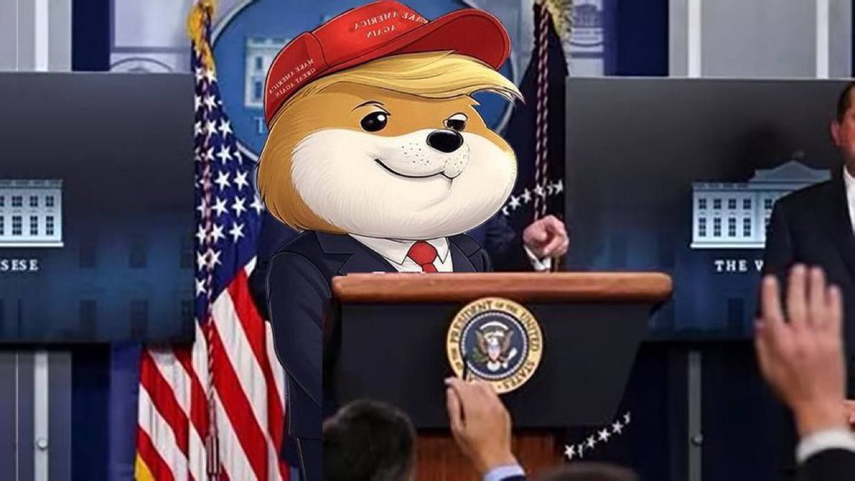zycti's tweet photo. Done with $TRUMP? I found the next gem sitting around 50k mc. $TDWIF is ready to hit 10m this week π
359rzYrGXNZd5DJF4McS8LCLbb3W4yi2npRbXmHBmoon
#TDWIF @trumpdogewifhat https://t.co/rP6jS0r61f
