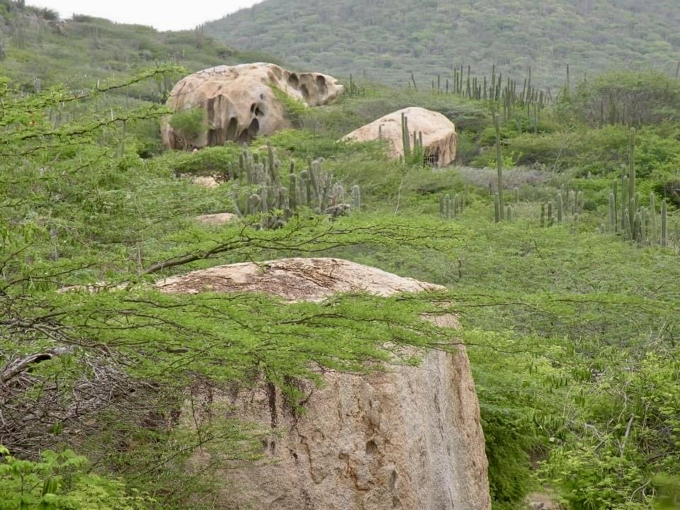 VIPCHIC's tweet image. Ayo