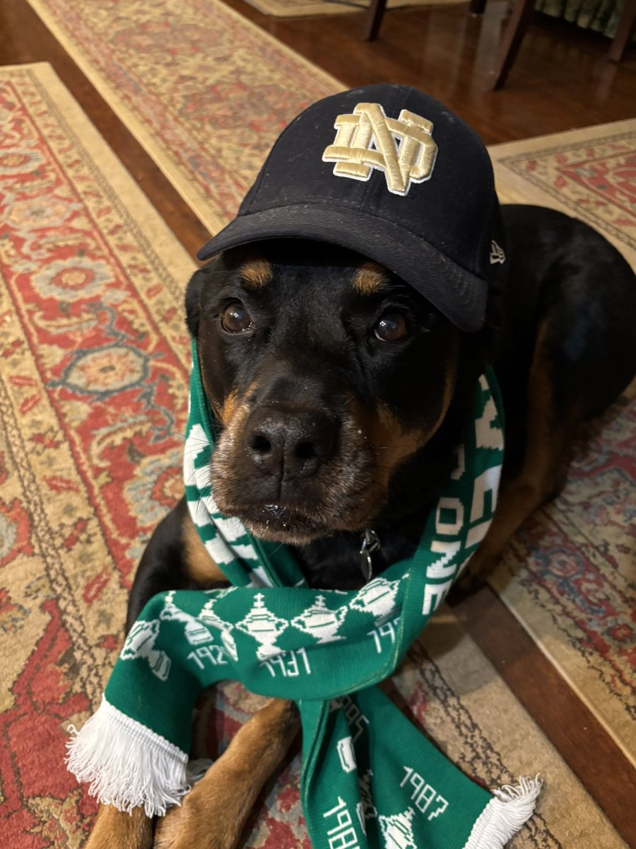 thedcregulator's tweet image. Go @FightingIrish - beat State!!!! @servicerotties @NDFootball @NotreDame @NDonNBC #NotreDame