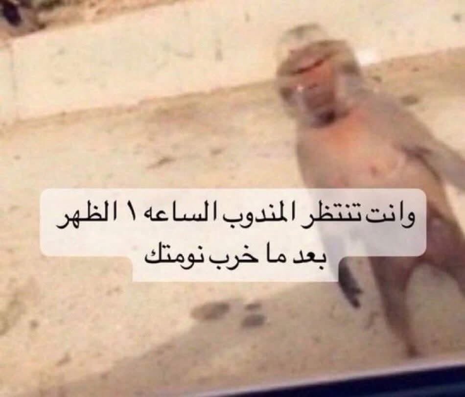 Repostting's tweet image. 