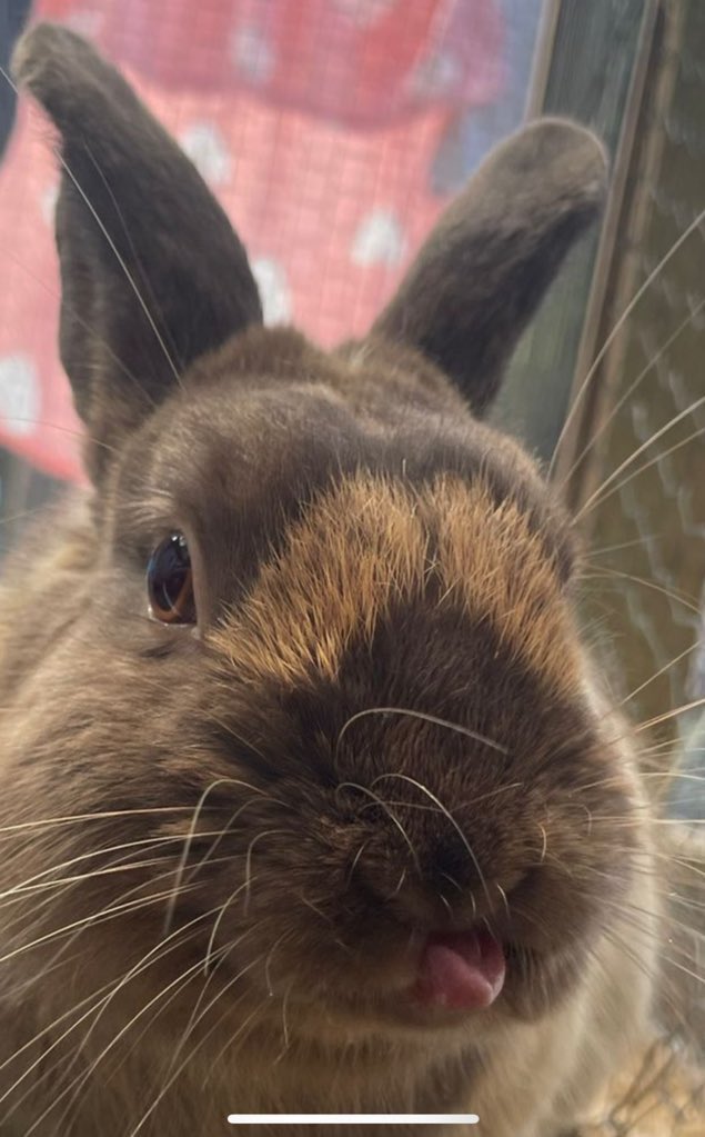 Winter Pudding vs summer Pudding 😍