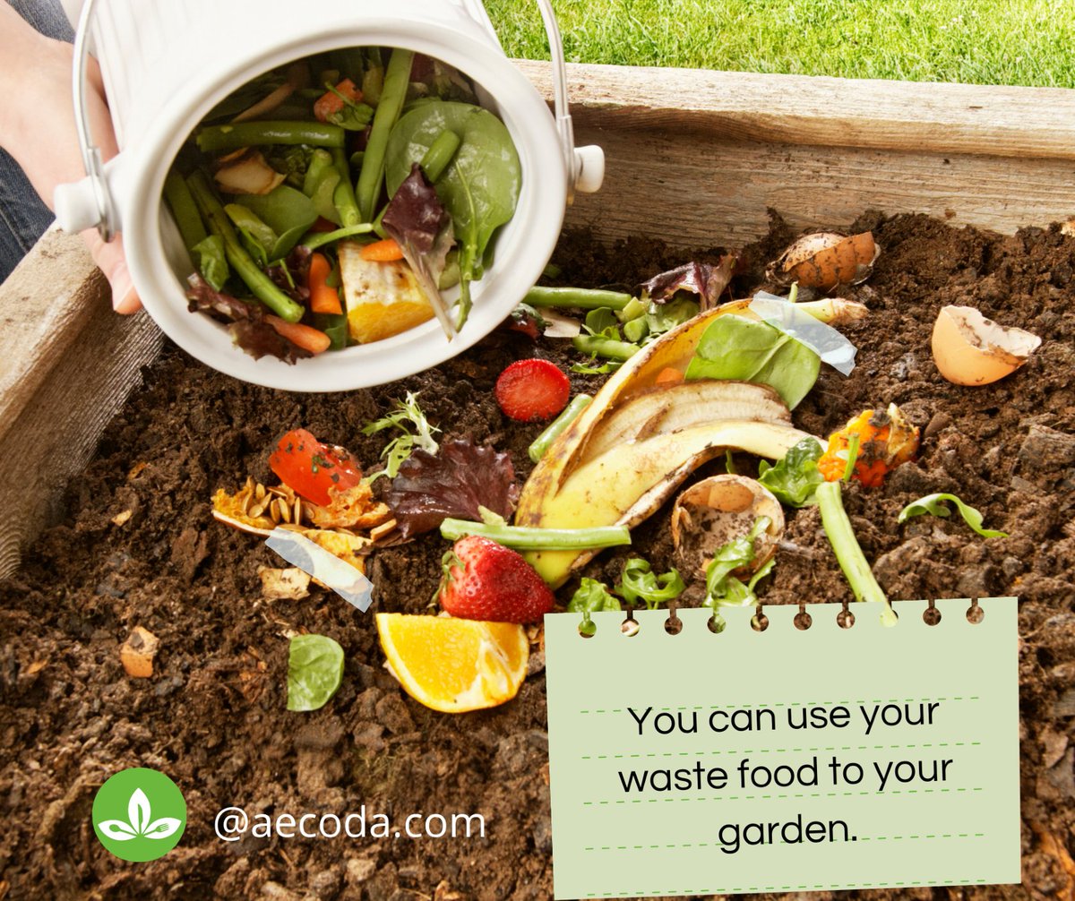 aecoda_com's tweet photo. If you have garden or plants, you can use your waste food.

#sustainable #sustanaibility #foodpractices #ZeroWaste #Contraeldesperdicio #Desperdicio #Garbagefood #Trash #foodwasteeducation #foodwastesolutions #reducingfoodwaste #reduce #reuse #recycle #composting #wastefree https://t.co/VEO8yV16cg