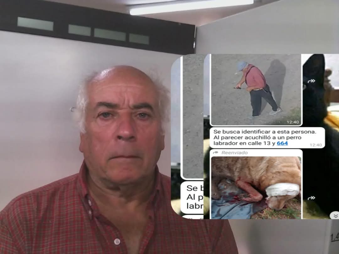 @Tabyta52/20🇦🇷🇪🇦🇺🇦🇮🇱💙💙💙 tweet media