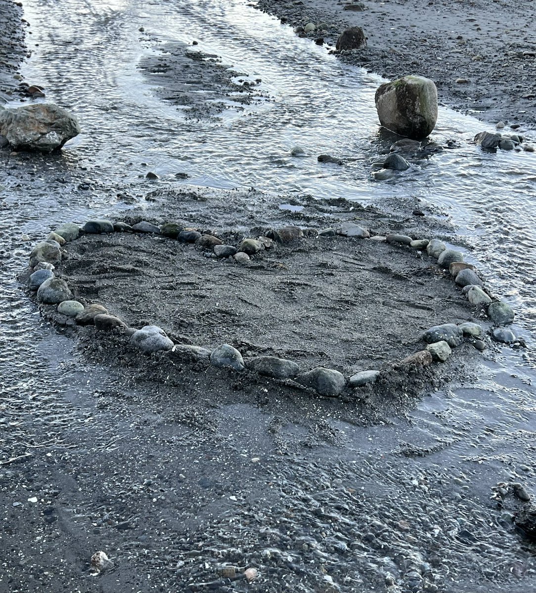 Came across this at the beach yesterday🩷What fills your heart with happiness?