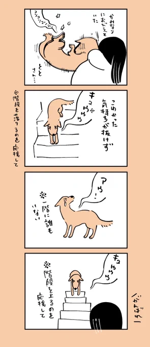 昨日は雷が激しかったのでととが大変でした 