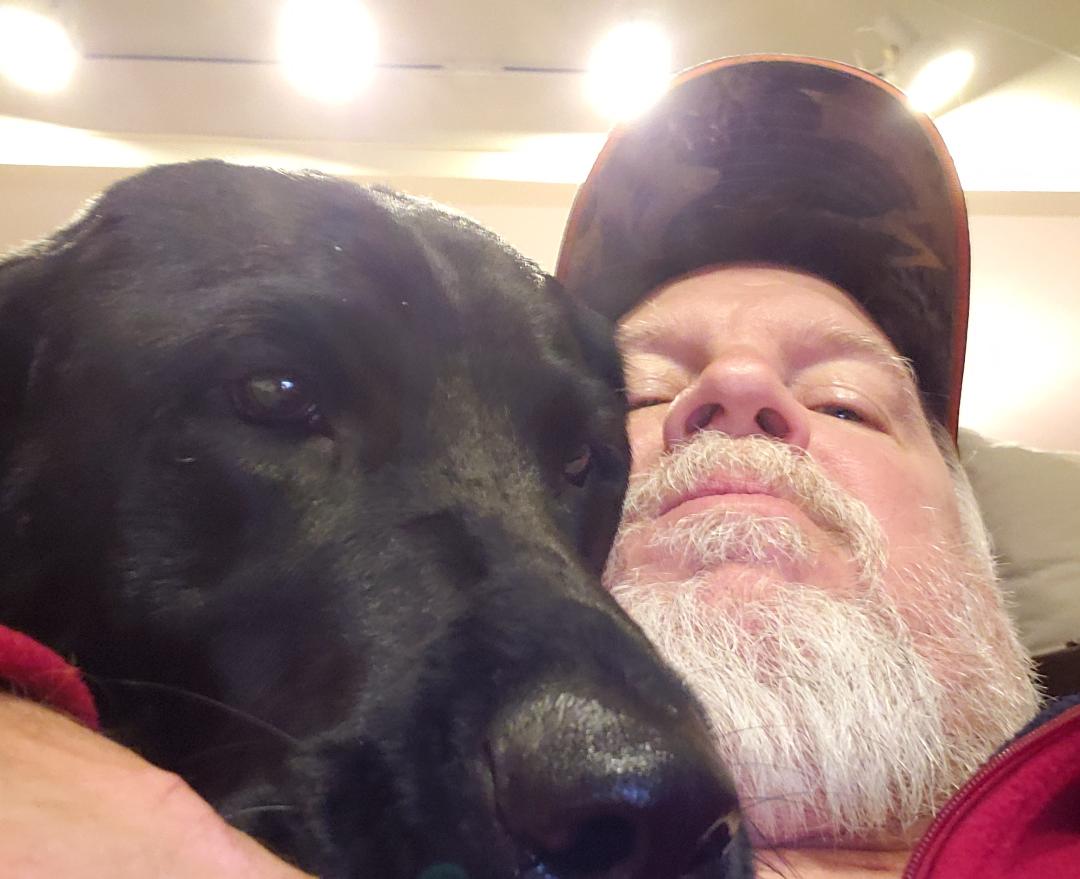 BarryAThompson's tweet photo. @_XDogs Our Lab Sammy just wanting to give a shout out to everyone dog lover on X https://t.co/HkSgTR8rUZ