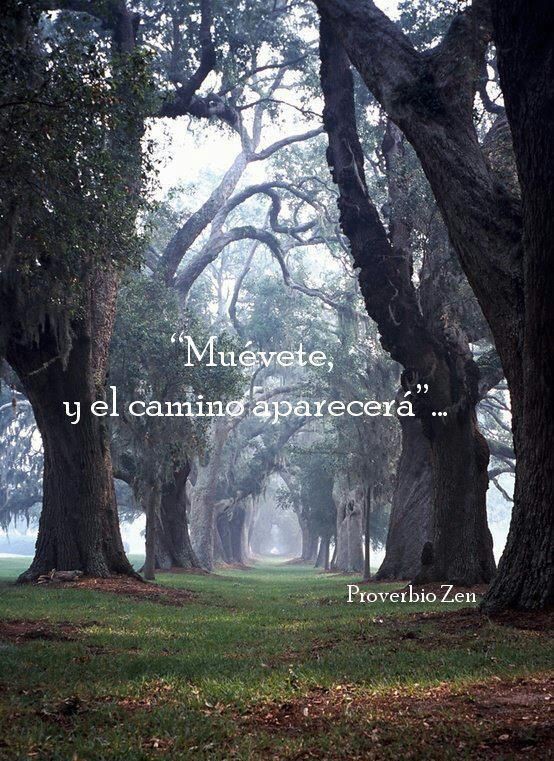 Juan José Gil Méndez (@juanjoingenio) on Twitter photo 