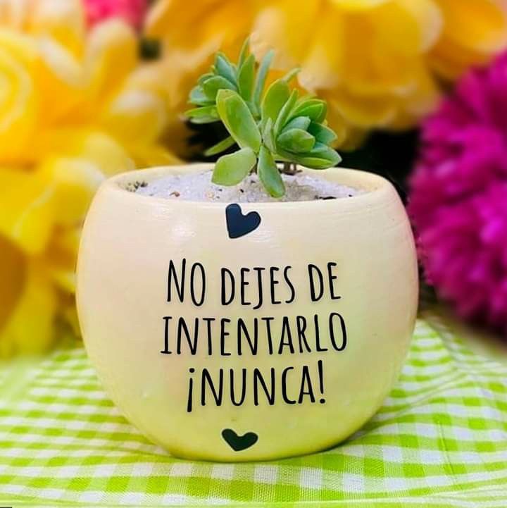 Juan José Gil Méndez (@juanjoingenio) on Twitter photo 