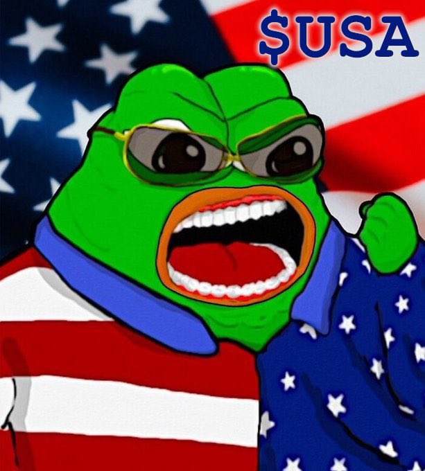 USA_ON_CHAIN's tweet image. AMERICAN COIN