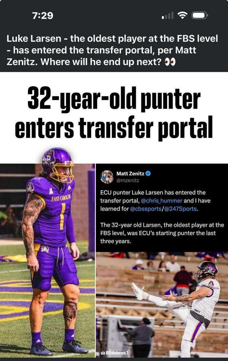 Tigers eat chickens for dinner! tweet media