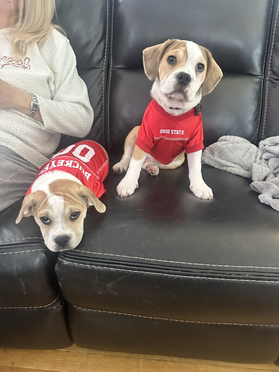 ErikaCodner's tweet photo. Let’s go Buckeyes!  @OhioStateFB  love Tater and Cash!! @TBDBITL  ❤️❤️ https://t.co/Bus30rESEF