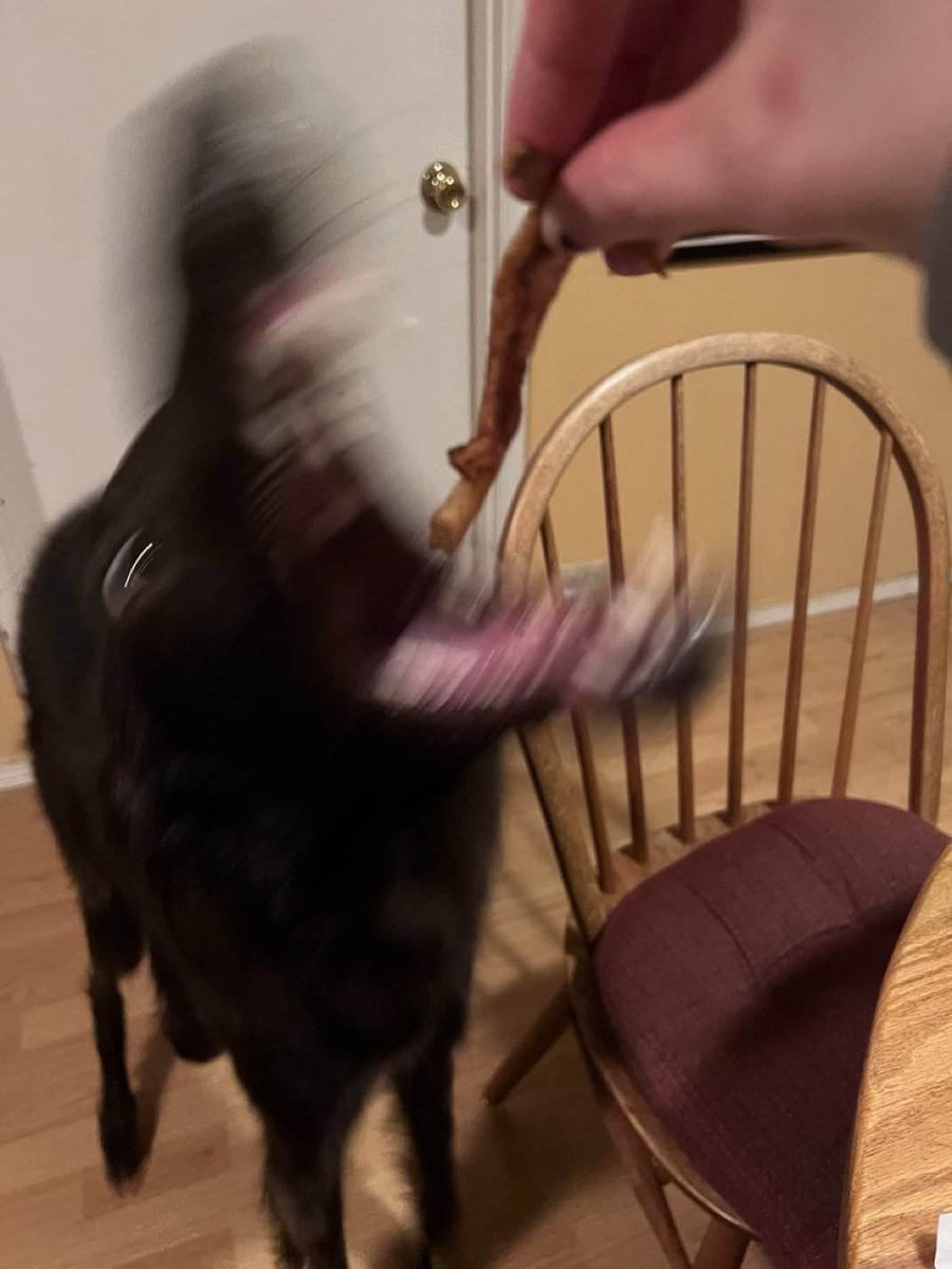 chomps u
