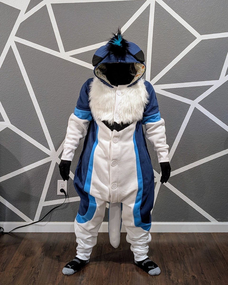 DizzignerClub's tweet image. Finished kigu for @ThatKrazyK9
