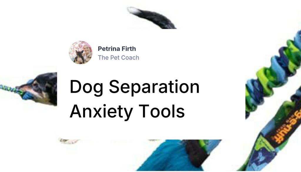 Using a simple removable film on the lower part of the windows or doors allows light in while blocking your dog's view, so they don't feel the need to protect the property or react at passers by,

Read more 👉 lttr.ai/AambM

#dogseparationanxiety #DogTraining