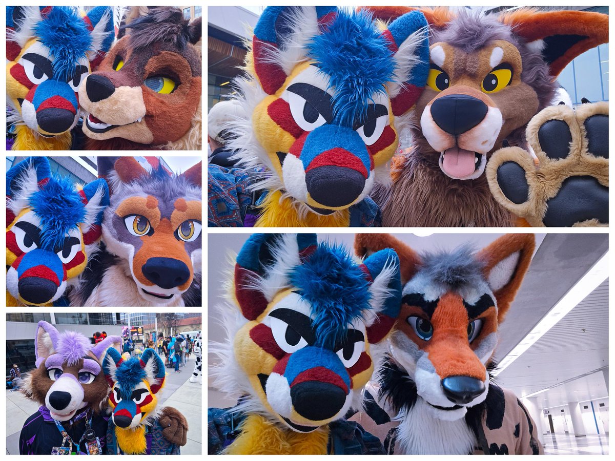 My collection of yotes (and yotely foxes) from FC.