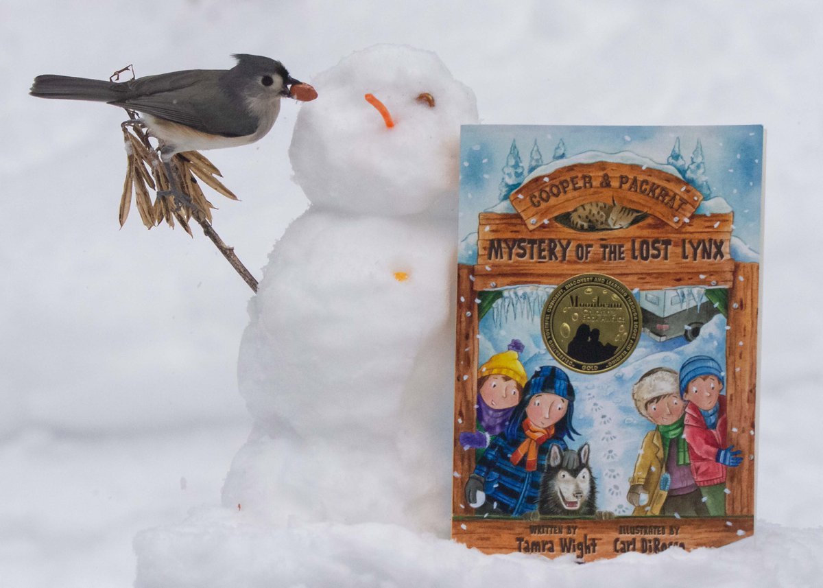 TamraWight's tweet photo. My Jan newsletter is out! Here's some teaser pics~
In it- Why I❤️winter photography, a otter stalking story, & info on how LOST LYNX went from a spring to winter setting thanks to a FL class.
Sign up for my newsletter using my bio website link.
#winteradventures #MGauthor https://t.co/Aez1yGGcoS