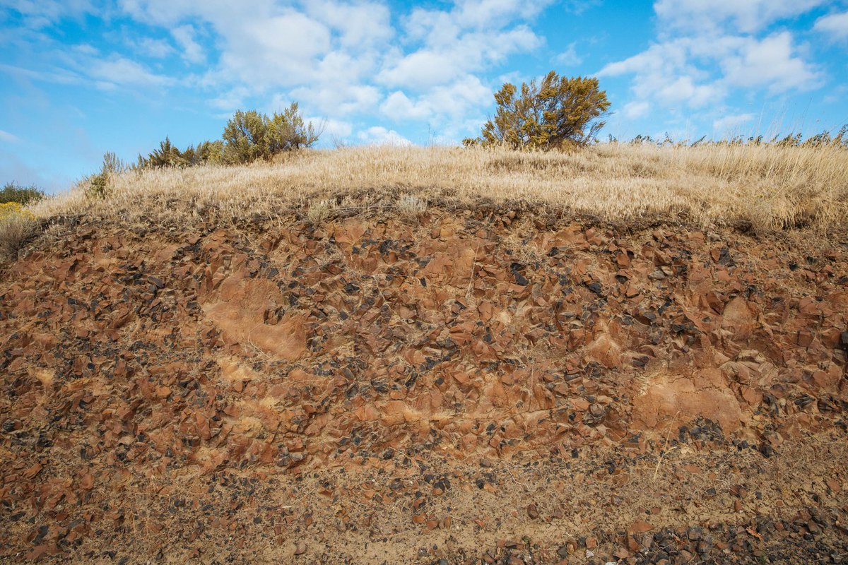 LongShadowsVintners tweet media